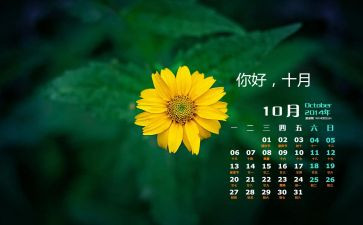 10月一活动总结通用6篇