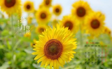 10月工作总结范文6篇