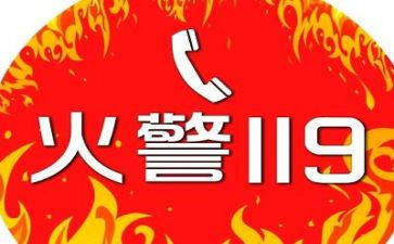 119活动工作总结7篇