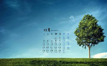 2024年幼儿园大班12月工作总结5篇