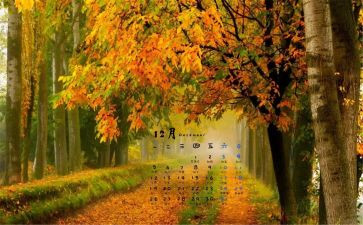 12月中班月工作总结5篇