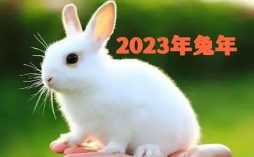 2023年充分就业工作总结8篇