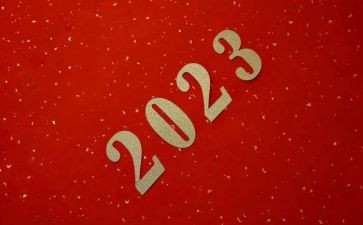高中2023年个人总结精选8篇