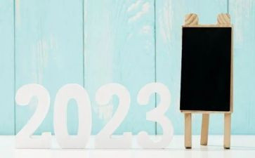 2023年收费室个人总结最新6篇