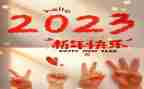 中国最美2023事迹材料6篇