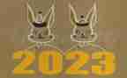 2023年医院医生个人工作总结推荐5篇