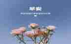 学校3月安全工作计划5篇