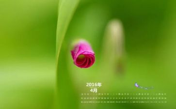 4月的工作总结模板8篇