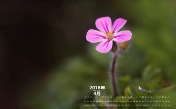 小班4月份月总结8篇