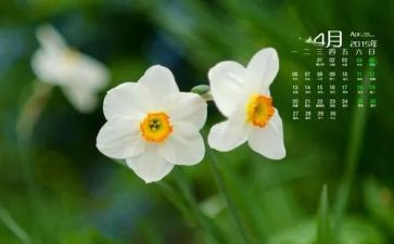 幼儿园教师4月总结5篇