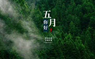 幼儿大班5月份工作总结7篇