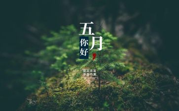 幼儿园5月份工作计划计划7篇