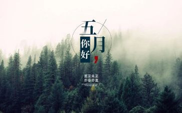 5月份班主任工作计划6篇