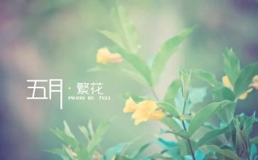 小学5月工作总结5篇