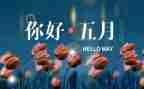 中班5月份心得体会8篇