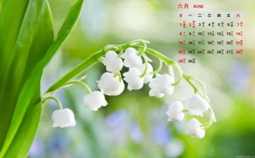 6月1活动总结模板5篇