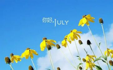 6月企业活动总结7篇