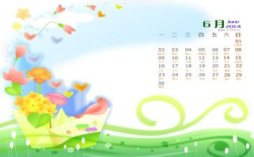 6月教师工作总结6篇
