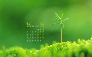 6月党日活动总结2022精选8篇
