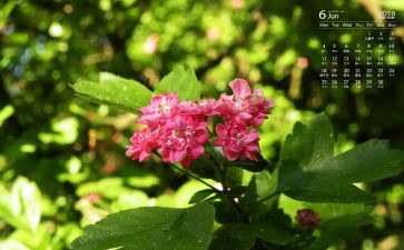 6月1活动总结5篇