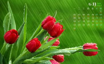 6月份个人总结5篇
