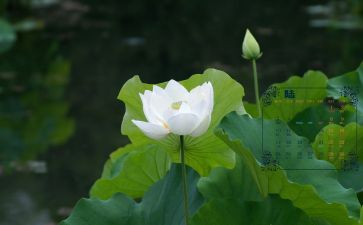 6月实习工作总结8篇