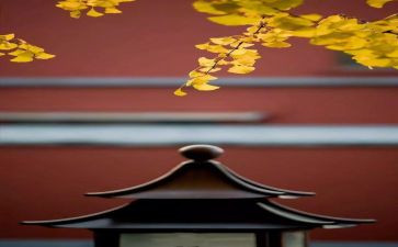8月份的工作总结和计划6篇
