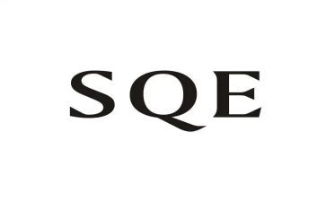 2023sqe年终总结7篇