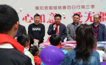 2024百日行动工作总结5篇
