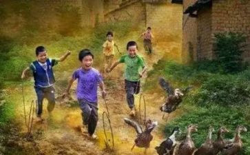 八零后活动方案推荐7篇