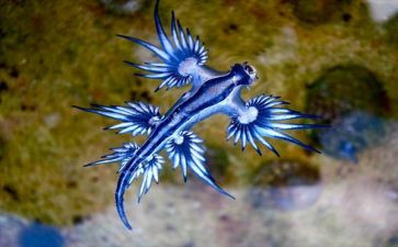 生物教师年度工作总结5篇