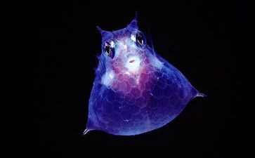 生物老师周工作总结最新5篇