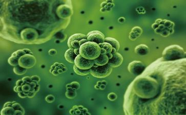 高中生物教师个人总结精选6篇