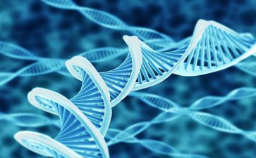 生物教学心得体会5篇