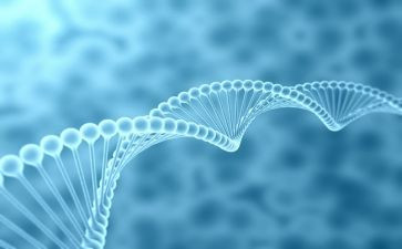 8上生物工作总结最新6篇