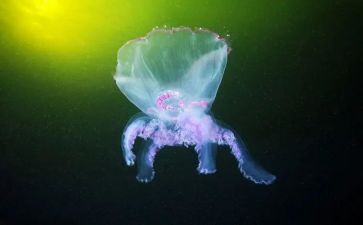 2024生物老师工作总结范文5篇