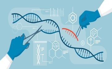 8上生物工作总结模板7篇