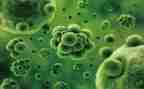 高中生物教师个人总结精选6篇