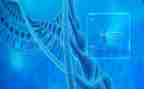 生物教师述职个人述职报告6篇