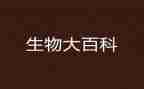 生物实验的工作总结7篇