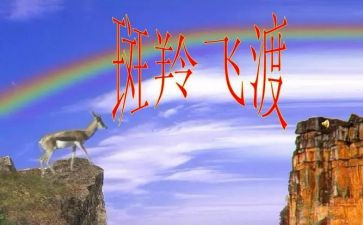 《斑羚飞渡》读后感精选5篇
