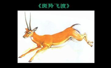 《斑羚飞渡》读后感优秀5篇