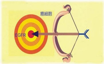 靶向式培训心得体会通用6篇