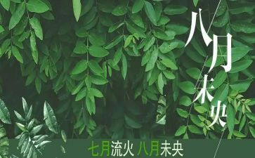 销售八月份工作总结推荐5篇