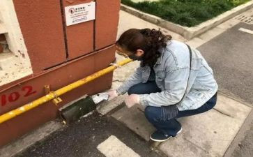 局病媒防治工作计划7篇
