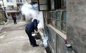 局病媒生物工作计划8篇