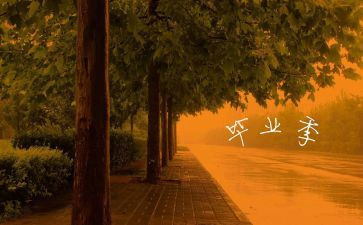 毕业年终总结模板7篇