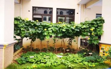 关于菜的作文500字优秀8篇