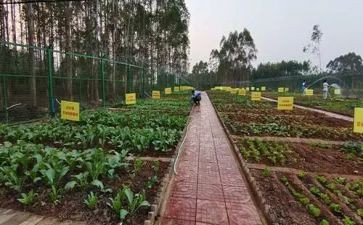 购蔬菜合同8篇