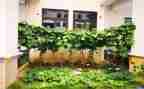 捏蔬菜教案模板5篇